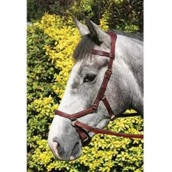 Horseware Rambo Micklem Multibridle -Weatherbeeta Store bridle10 cf44038a 6c56 4d81 9380 7b1cf4d1ed34