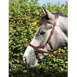 Horseware Rambo Micklem Multibridle -Weatherbeeta Store bridle11