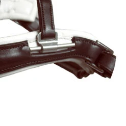 Acavallo Filosofia Bridle -Weatherbeeta Store bridle3 35524.1587741816.1280.1280