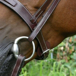 Dy'on Fancy Stitch Wide Noseband Bridle -Weatherbeeta Store bridle4 5bfb0366 19a2 4a05 ab7e fe08591f5851