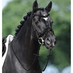 Passier Apollo Snaffle Bridle