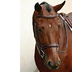 Nunn Finer Caterina Hunter Bridle -Weatherbeeta Store bridle5 897aa7a3 ce3b 4720 b97d 9e9ac9222f48