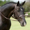 Dy'on Fancy Stitch Wide Noseband Bridle