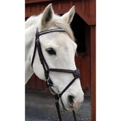 Nunn Finer Figure Eight Bridle 10 Nunn Finer Figure Eight Bridle -Weatherbeeta Store bridle5 9a50a3e3 345a 4af3 8fc7 ec18cd907750