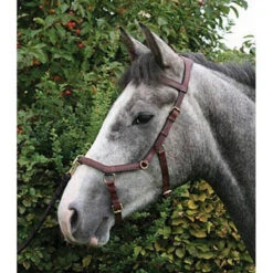 Horseware Rambo Micklem Multibridle -Weatherbeeta Store bridle6 176ffa29 d9a4 474f 9cc0 dc82ba1c9ad6