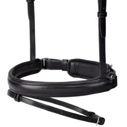 Passier Fortuna Snaffle Bridle -Weatherbeeta Store bridle6 70799.1589504216.1280.1280