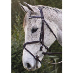 Nunn Finer Padded Figure 8 Noseband With Interchangeable Button Pieces 9 Nunn Finer Padded Figure 8 Noseband With Interchangeable Button Pieces -Weatherbeeta Store bridle7 93402.1588702952.1280.1280