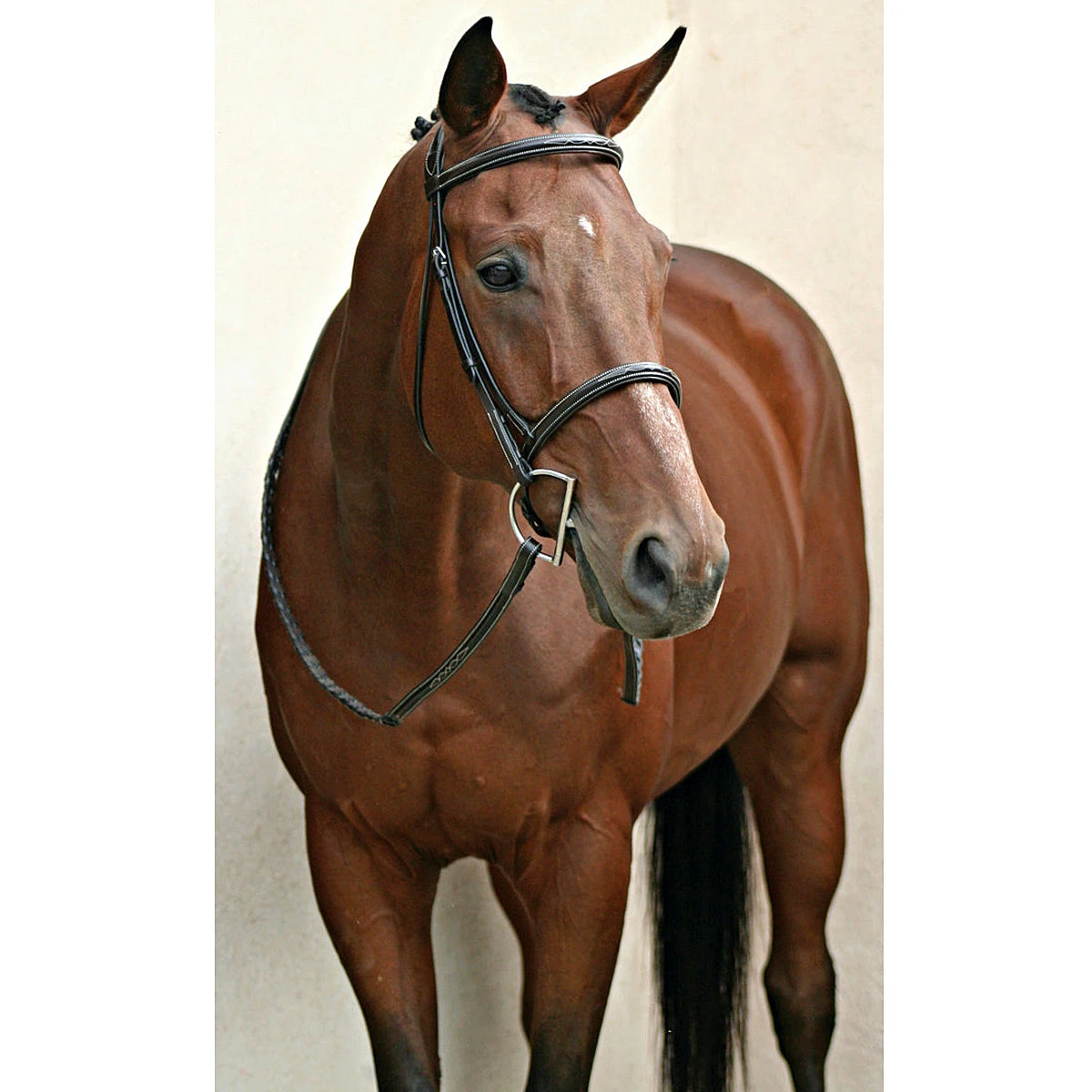 Nunn Finer Elena Hunter Bridle 7 Nunn Finer Elena Hunter Bridle - Image 7