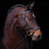 Horseware Rambo Micklem Multibridle