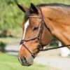 Nunn Finer Figure Eight Bridle