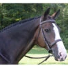 Black Oak By KL Select Spruce Hunter Bridle