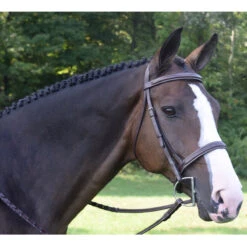 Black Oak By KL Select Spruce Hunter Bridle