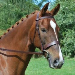 Black Oak By KL Select Foxtrot Hunt Bridle