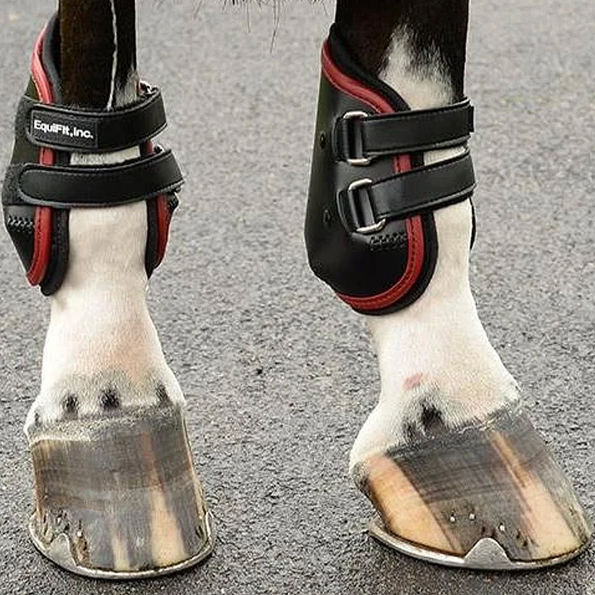 EquiFit AmpTeq Hind Boot 11 EquiFit AmpTeq Hind Boot - Image 11