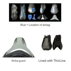 ThinLine Flexible Filly Lightweight Breathable Air Shock Front Tendon Horse Boots -Weatherbeeta Store filly.features 071277b5 6d0a 4037 8dd6 700bc747cea7