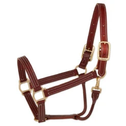 Walsh British Halter -Weatherbeeta Store halter 6151eb20 927d 4a79 86ce fb6feb52a3eb
