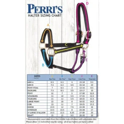 Perri's 1" Leather Turnout Halter -Weatherbeeta Store halter 55071.1588010940.1280.1280