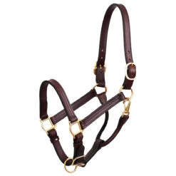 Perri's 1" Leather Show Halter 11 Perri's 1" Leather Show Halter -Weatherbeeta Store havana 70517.1588006313.1280.1280