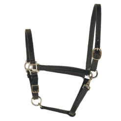 Perri's 3/4" Leather Turnout Halter