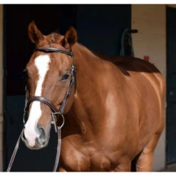 Huntley Equestrian Sedgwick Leather Fancy Stitched Bridle -Weatherbeeta Store huntley eq sedgwick aust nut5 95416.1588357252.1280.1280