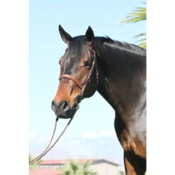 Huntley Equestrian Sedgwick Leather Fancy Stitched Bridle -Weatherbeeta Store huntley eq sedgwick conker 02308.1589920650.1280.1280