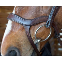 Nunn Finer Innovativo Shaped Bridle 6 Nunn Finer Innovativo Shaped Bridle -Weatherbeeta Store innovatio3