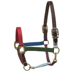 Perri's Premium Nylon Safety Halter -Weatherbeeta Store multi 06576.1588257175.1280.1280