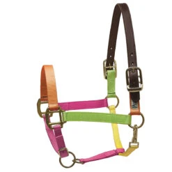Perri's Premium Nylon Safety Halter -Weatherbeeta Store neon multi 52151.1588257175.1280.1280