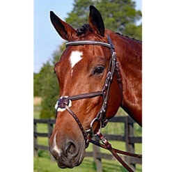 Nunn Finer Figure Eight Bridle 11 Nunn Finer Figure Eight Bridle -Weatherbeeta Store new 31853545 40ae 422b a823 f67607d5803d