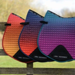 Weatherbeeta Prime All Purpose Ombre Saddle Pad -Weatherbeeta Store ombre1