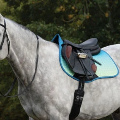 Weatherbeeta Prime All Purpose Ombre Saddle Pad -Weatherbeeta Store ombre3