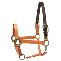 Perri's Premium Nylon Safety Halter -Weatherbeeta Store orange 04391.1588257174.1280.1280