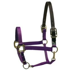 Perri's Premium Nylon Safety Halter -Weatherbeeta Store purple 30426.1588257175.1280.1280