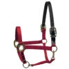 Perri's Premium Nylon Safety Halter