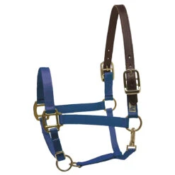 Perri's Premium Nylon Safety Halter -Weatherbeeta Store royal bllue 76627.1588257174.1280.1280