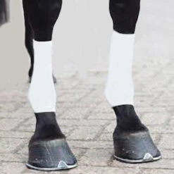 EquiFit Horsesox -Weatherbeeta Store soocks white 24904.1590083952.1280.1280