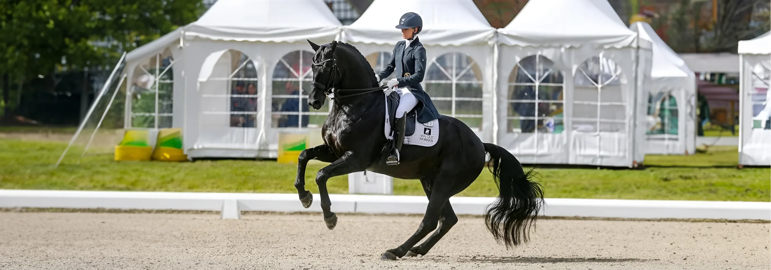 Front Page -Weatherbeeta Store banner342 scaled