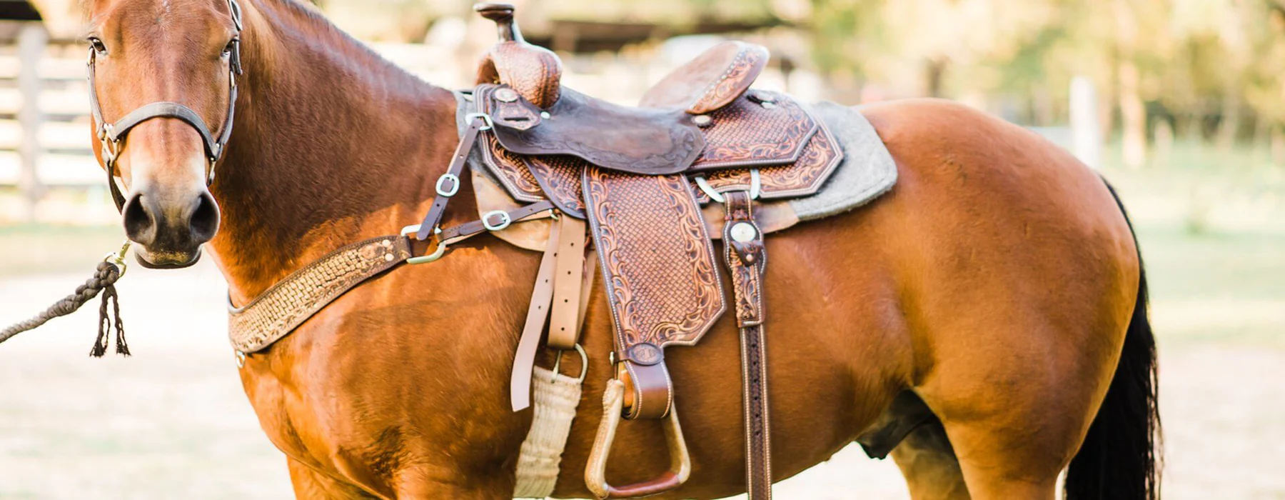 Front Page -Weatherbeeta Store banner539